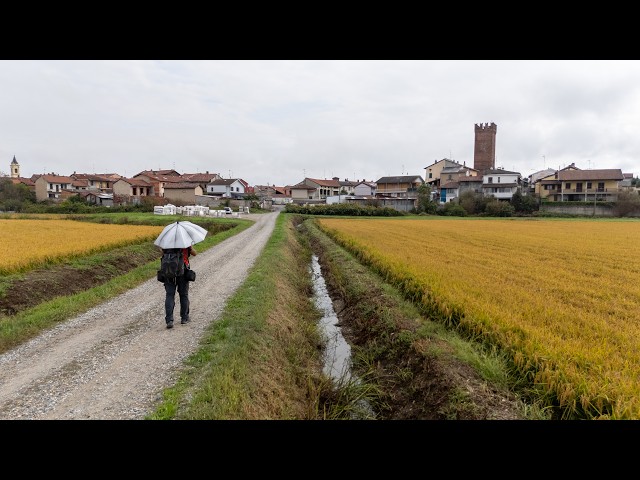 17 | Via Francigena | Mortara.
