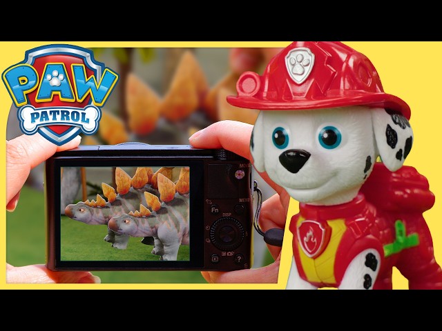 Stegosaurus-Stampede | PAW Patrol Auf Deutsch | Spielen mit Spielzeug