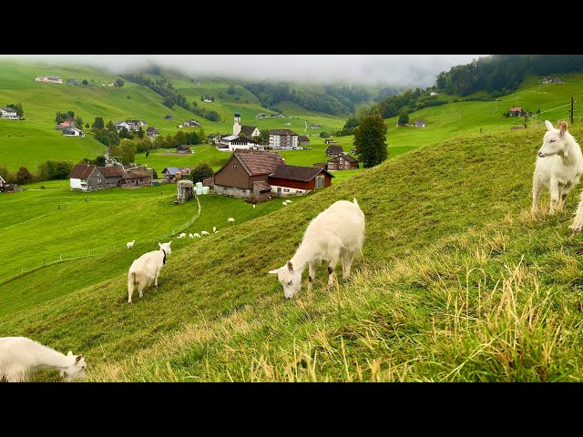 Rainy walk in Switzerland heavenly village - Relaxing day in the most beautiful Swiss villages