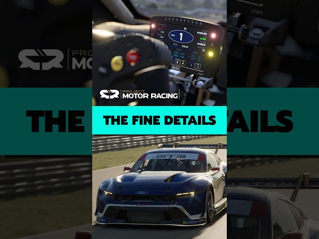 When Car Nerds Spot a Tiny Detail - Project Motor Racing