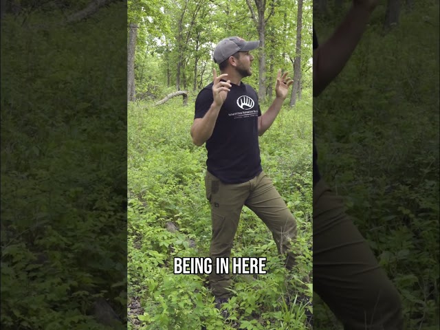 Most Hunters Miss This Simple Forest Trick #hunting #deerhunting #wildlife