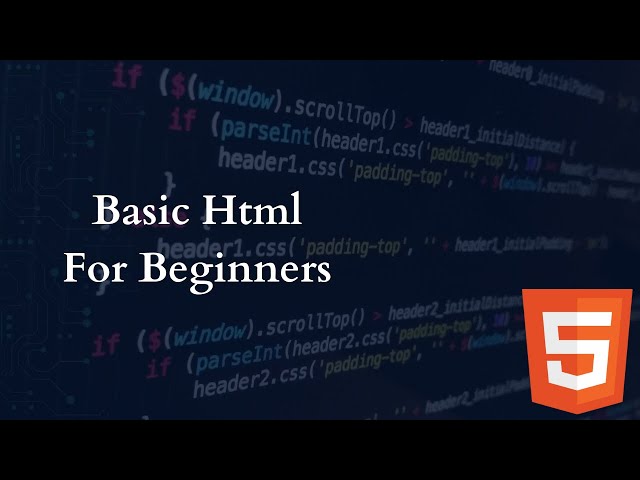 HTML Guide: A Comprehensive Tutorial for Beginners & Professionals