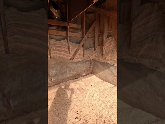 Empty sawdust bin # shorts