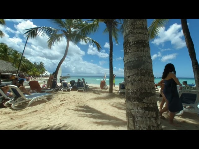 VR Viva Dominicus Beach