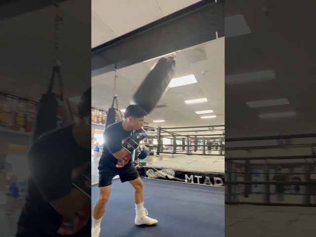Brothers Fight Co Achilles Boxing Gloves | Small Bag