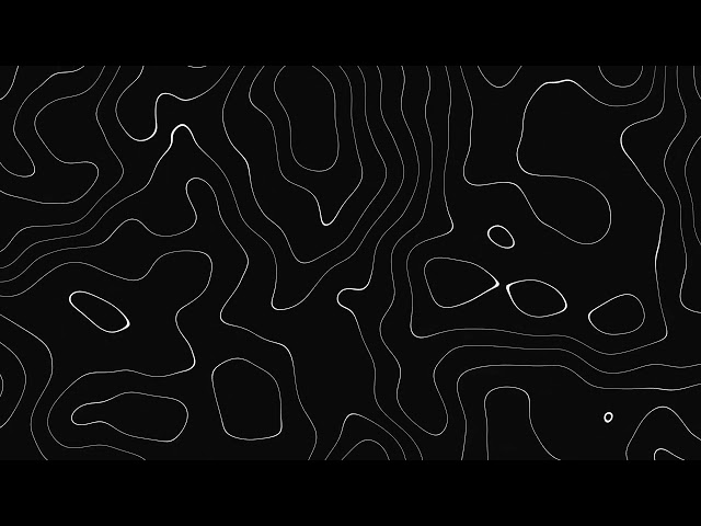 Abstract Black & White Wave Pattern | Topographic Line Art | 8H 4K 60FPS Background