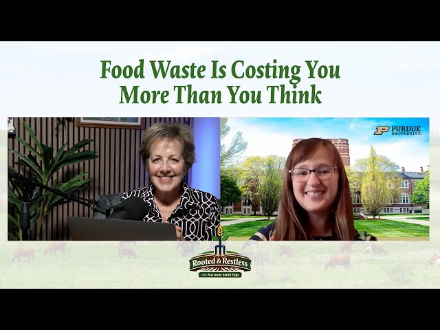 Food Waste Is Costing You More Than You Think