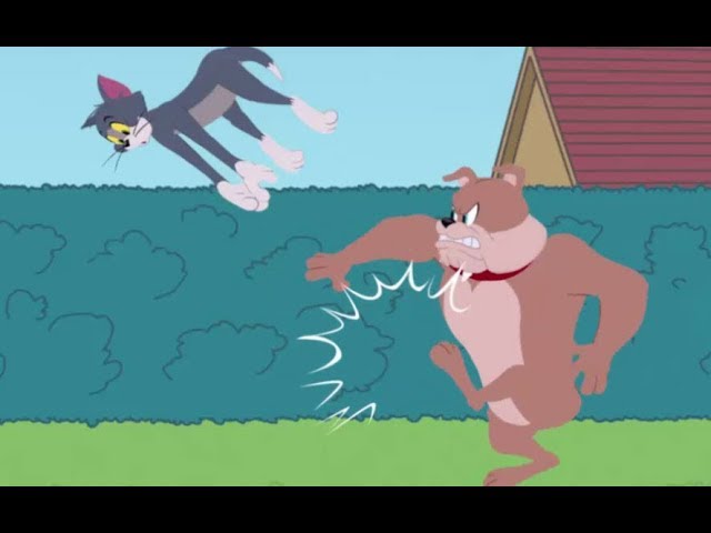 Tom and Jerry - Freefalling Tom - Tom and Jerry Games Cartoon For Kids