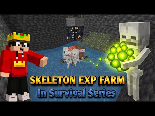I Made the Ultimate Skeleton XP Farm in Minecraft! 💀🔥