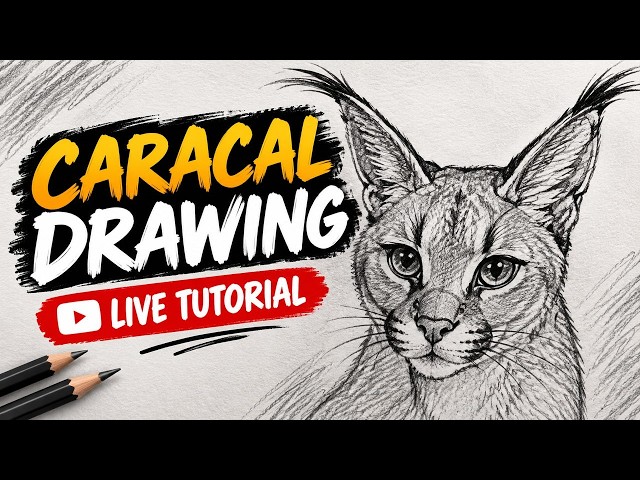 LIVE Caracal Drawing Tutorial LIVE 🐾 | Easy Pencil Sketch Step by Step