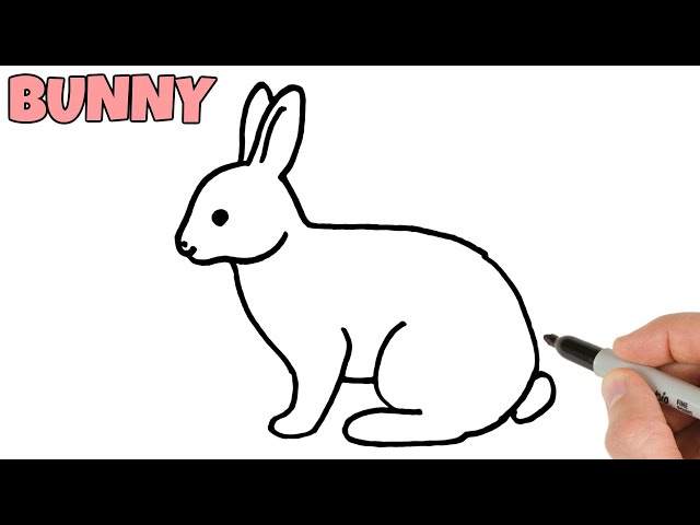 How to Draw a Rabbit Bunny easy step by step | Hare Drawing for beginners