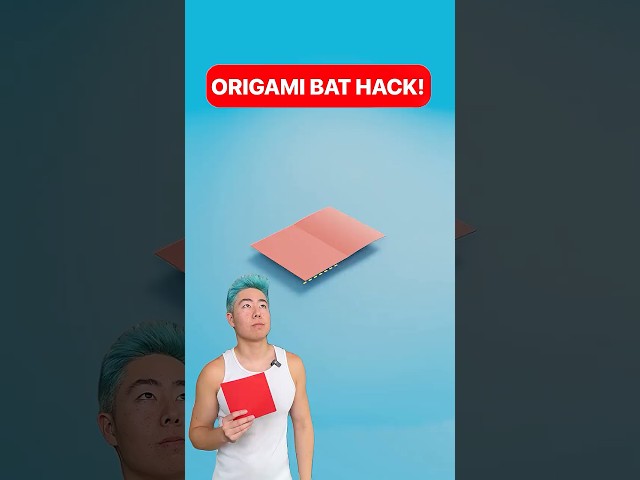 Origami Bat Hack!