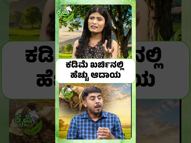 ಕಡಿಮೆ ಖರ್ಚಿನಲ್ಲಿ ಹೆಚ್ಚು ಆದಾಯ..?| Low Investment High Profit Farming - HARSHAVARDHAN’S FARMING TIPS