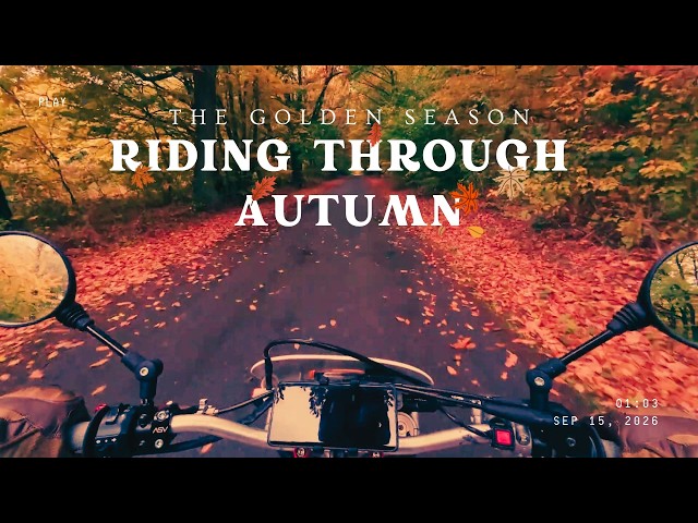 Riding Through Autumn 🍂🏍️ | A Beautiful Fall Journey in 4K
