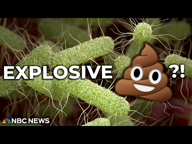 Contaminated lettuce, jalapenos, and eggs? What's Going On?!