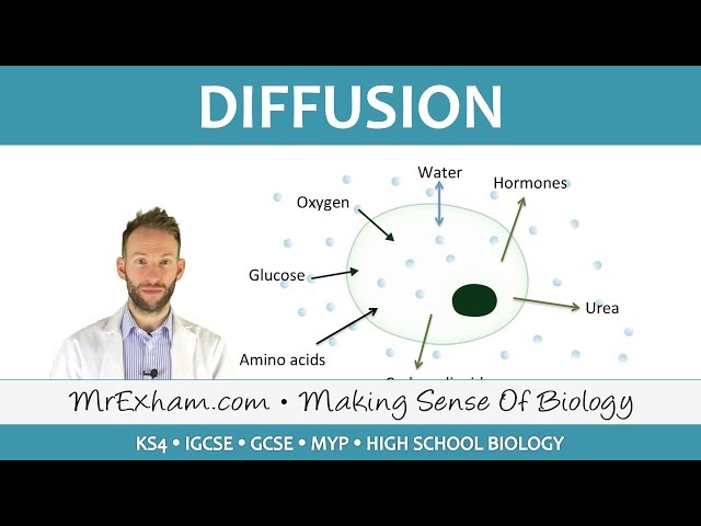 Diffusion - GCSE Biology (9-1)