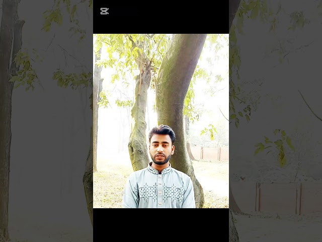 বিজয় দিবস উপলক্ষে ৪০ % ছাড়ে পারফেক্ট জব কেয়ারে ভর্তি চলছে......