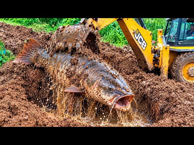 JCB Machine Work | Powerful Excavation & Heavy Digging Video 🚜🔥