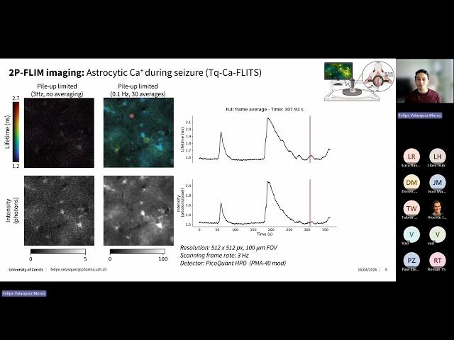 High speed TCSPC-FLIM imaging with FPGA-based time tagging