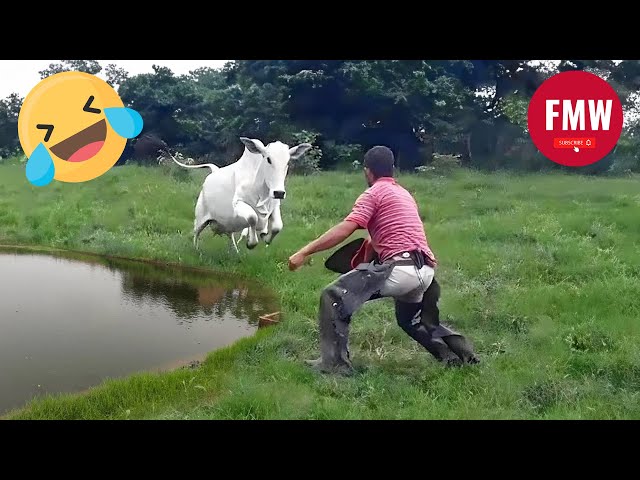 Funny & Hilarious People's Life 😂 #73 - Try not to Laugh | Funny Fails Compilation 2024