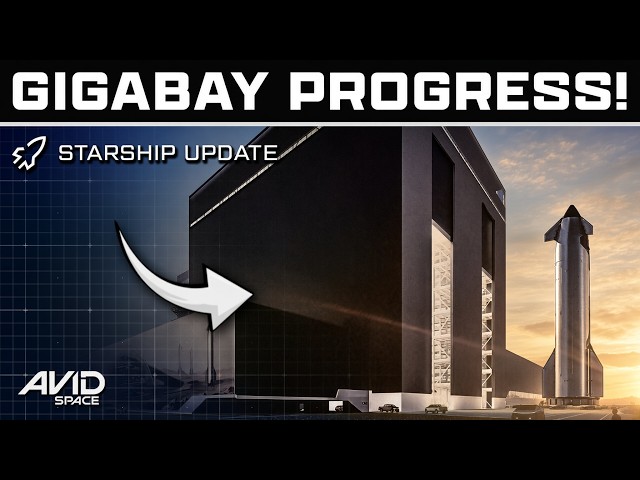 We're Going To See A Lot More Starships Once Gigabay Comes Online!
