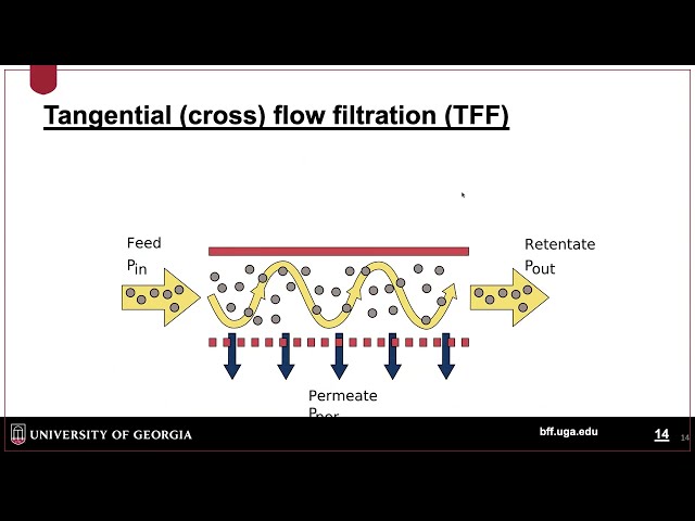 biomanufacturing overview