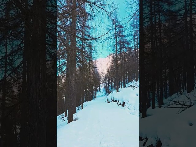 Alone in the Alps | #offgridlife #aloneinthealps