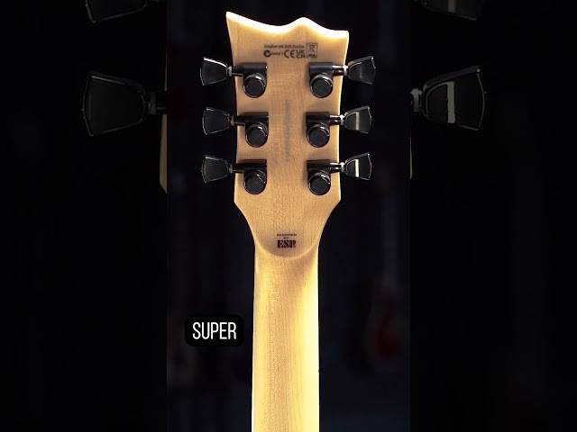 Will Adler (Lamb of God) Unboxes his LTD Signature Series WA-Warbied | ESP Guitars