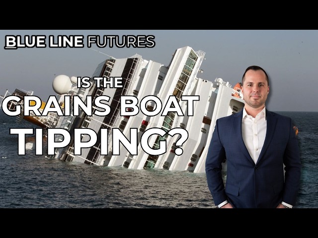 Why Grains Are Under Pressure: Everyone Is on the Same Side of the Boat | Oliver Sloup on RFD-TV