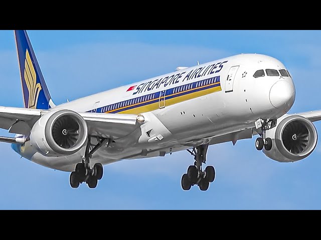 30 MINS of Plane Watching at Adelaide Airport 🇦🇺