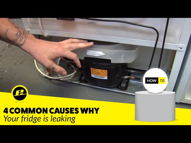 How to Fix a Leaking Fridge (4 Possible Ways!)