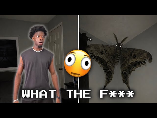 The bugs that be coming out once it’s summer 