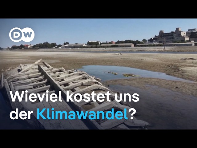 Klimawandel: Lassen sich Ökonomie und Ökologie versöhnen?