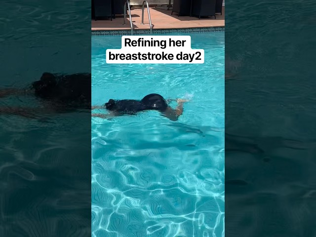 Perfecting her breaststroke day2