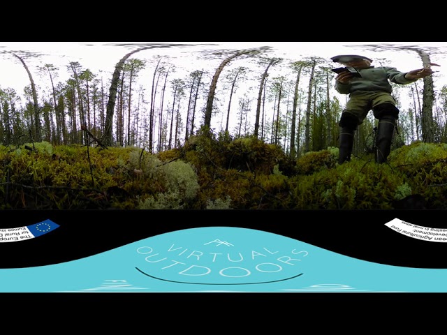FINNISH FOREST FROM A VIEW POINT OF A MUSHROOM (360 video) | Virtual Outdoors Finland