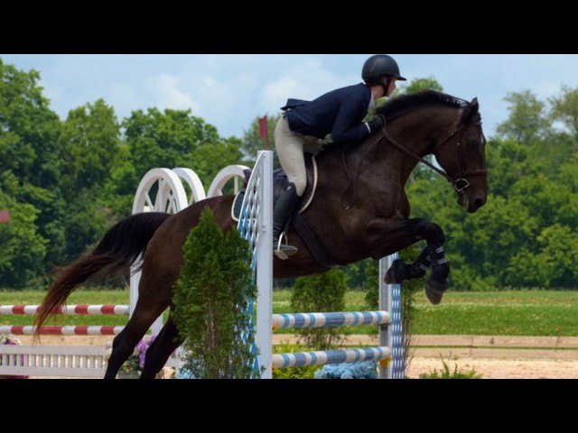 My First Jumpers Competition!