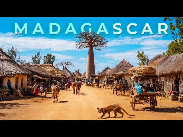 MADAGASCAR: The Island Where Evolution Went Crazy