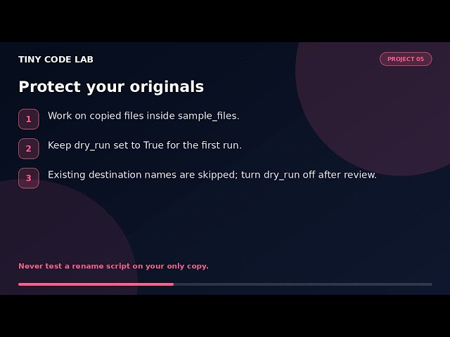 Rename 1000 files with python 