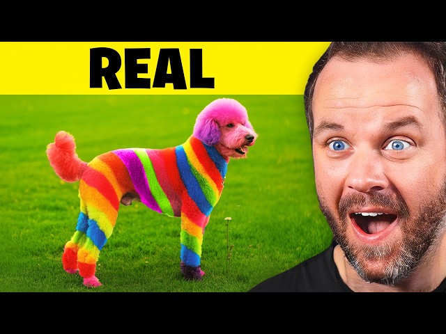 Real or AI?