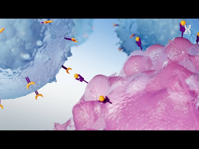 CAR T cell therapy for blood cancer - Explanatory animation