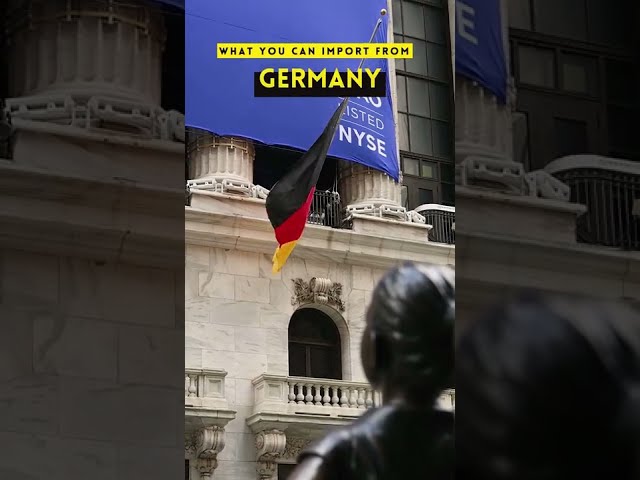 MAKE MONEY IMPORTING THESE GOODS FROM GERMANY I German Top Ten Exports #shorts