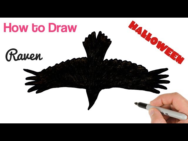 How to Draw Black Raven Flying for Halloween drawings