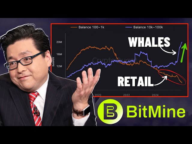 Wall St. is BUYING ALL Your BMNR Shares
