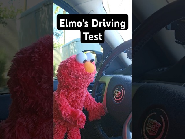 ELMO'S DRIVING TEST 😬