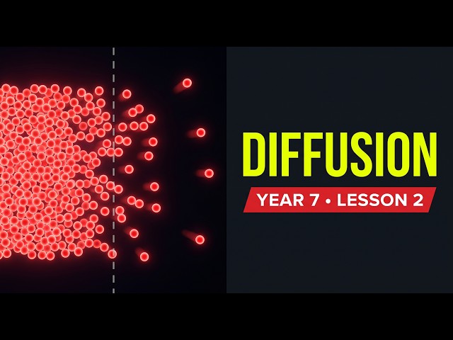 Diffusion Explained: Year 7 Science (Lesson 2)