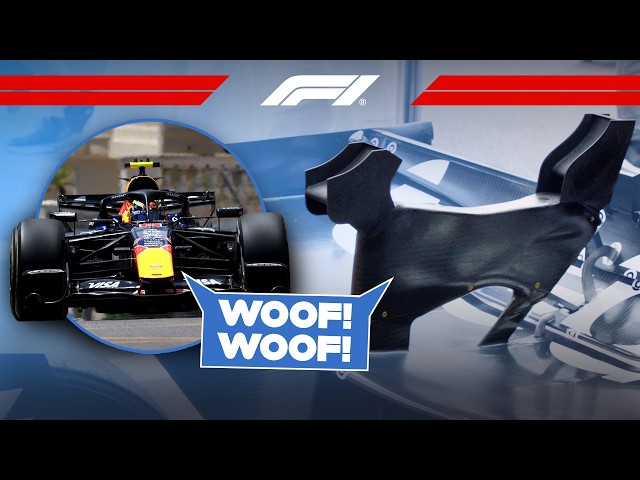 Monaco's Wild Wings! | F1 TV Tech Talk