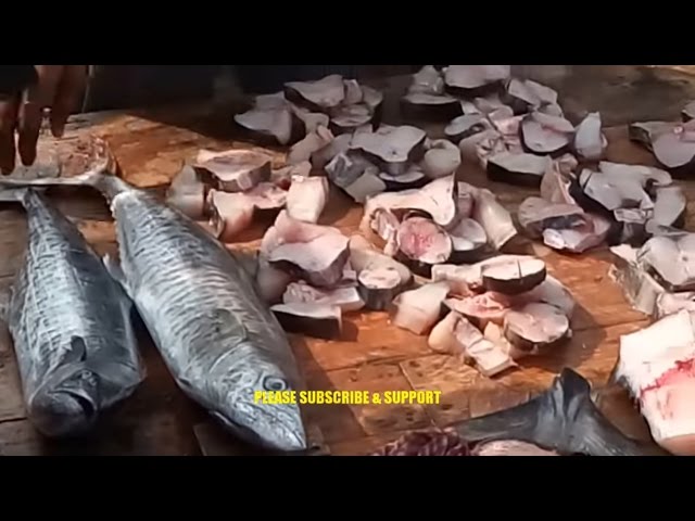 Amazing Cutting Fish 2017 | How To Fillet A 10 KG Fresh King Fish For Cooking | Village Fish Market