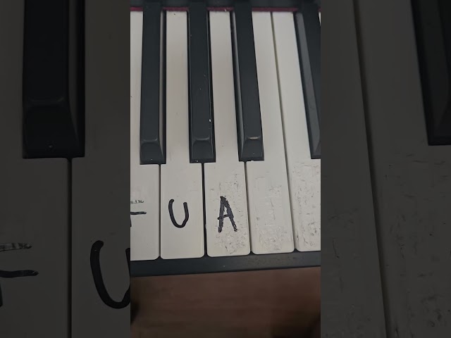 How to basic tutorial #piano