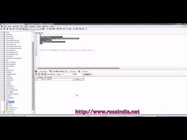 How to insert image in MySQL database using sql query?