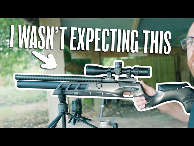 This Thing Is LASER Accurate! - Daystate Black Wolf Review